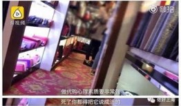 网红翻车室友爆料视频,揭秘背后真相
